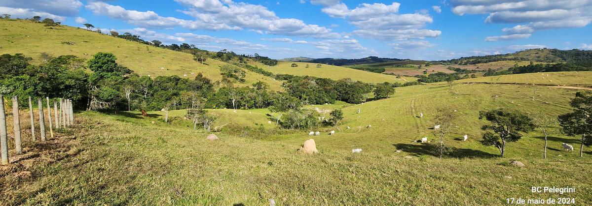 Fazenda, Zona Rural, 9 Quartos, 0 Vaga, 5 Suítes