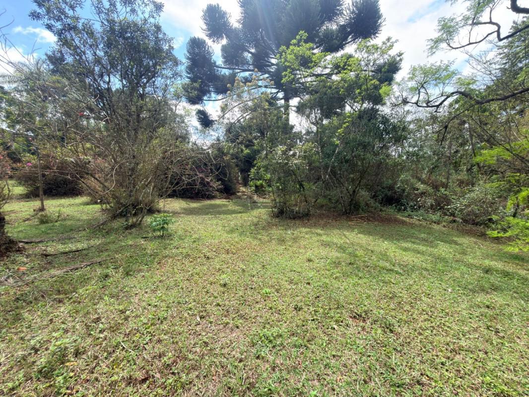 Lote, Lagoa do Miguelão, 0 Quarto, 0 Vaga