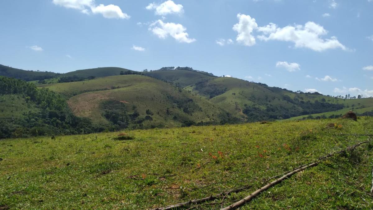 Fazenda, Centro, 0 Quarto, 0 Vaga