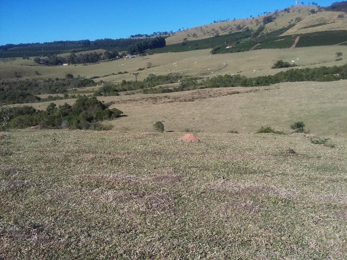 Fazenda, Centro, 3 Quartos, 1 Vaga, 1 Suíte