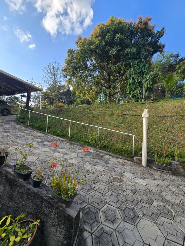 Fazenda, Gentileza, 4 Quartos, 10 Vagas, 1 Suíte