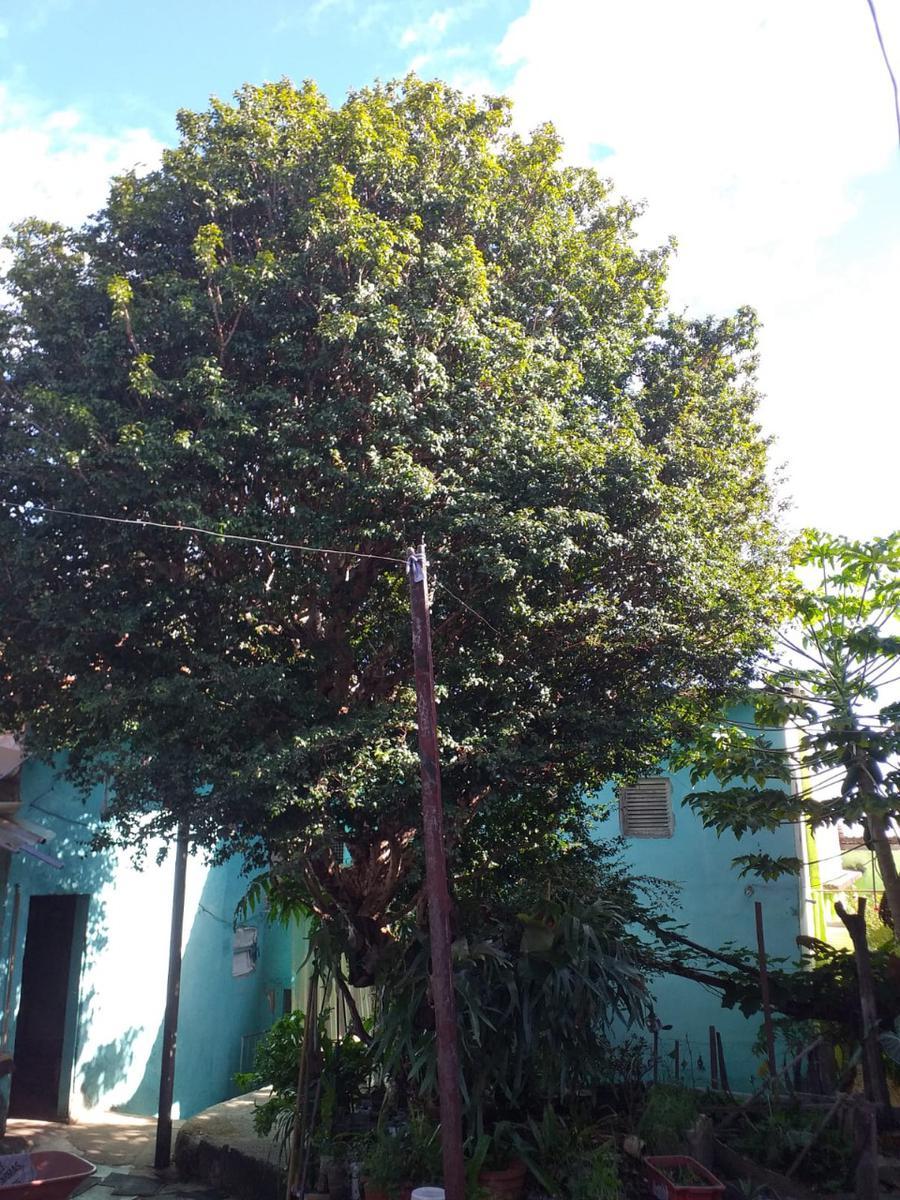 Casa, Concórdia, 4 Quartos, 2 Vagas, 1 Suíte