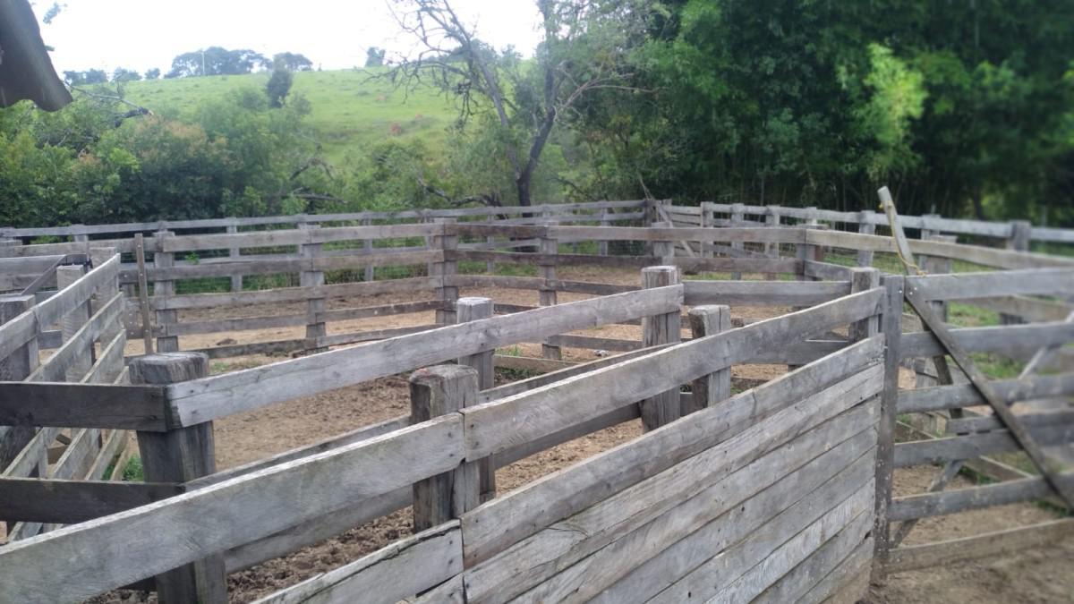 Fazenda, Zona Rural, 0 Quarto, 0 Vaga