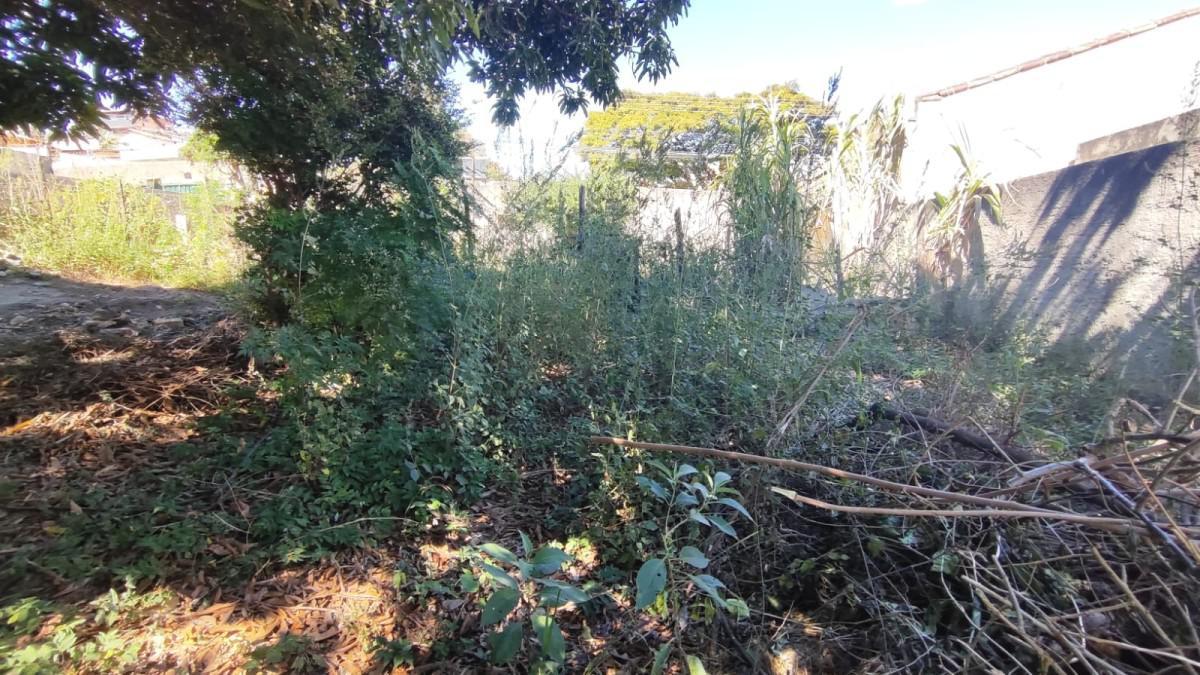 Lote, Novo Progresso, 0 Quarto, 0 Vaga