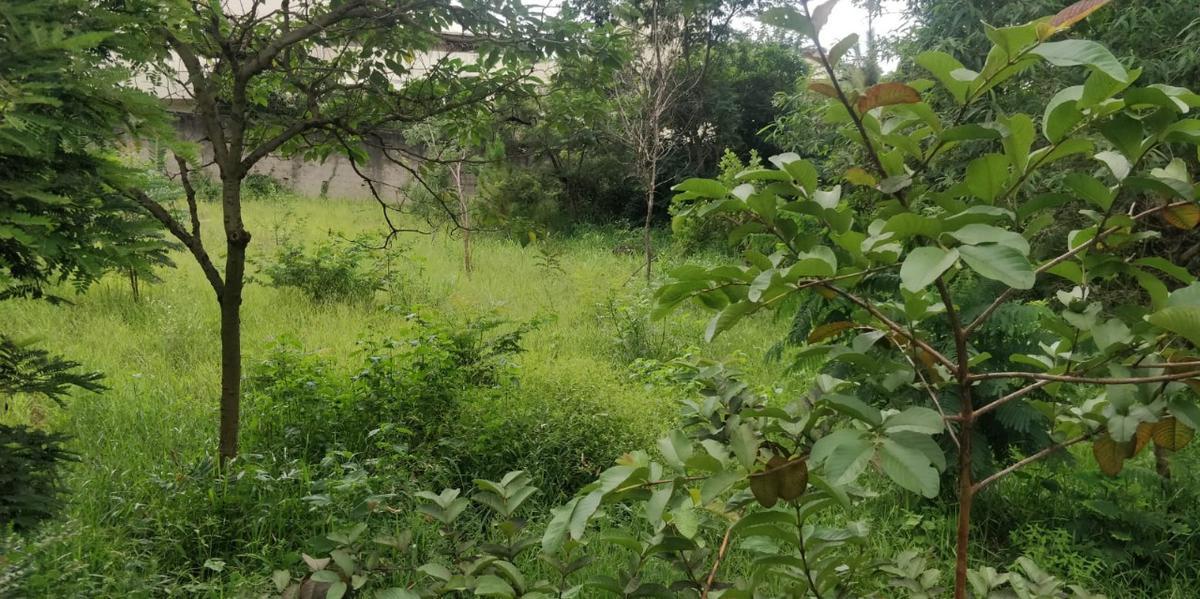 Lote, Cidade Jardim Taquaril, 0 Quarto, 0 Vaga