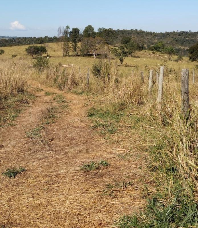 Fazenda, Área Rural de Pará de Minas, 0 Quarto, 0 Vaga