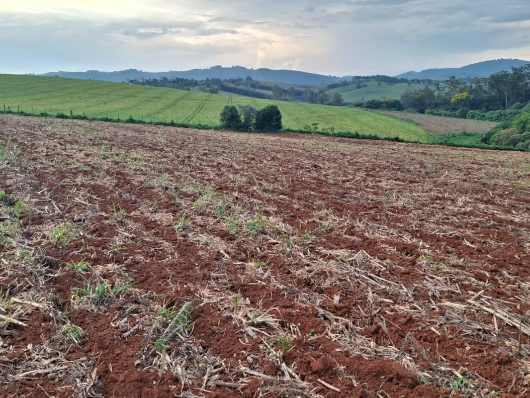 Fazenda, Zona Rural, 0 Quarto, 0 Vaga