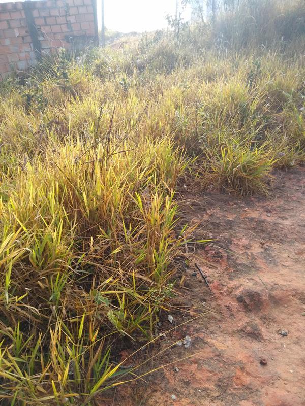 Lote, Icaivera, 0 Quarto, 0 Vaga