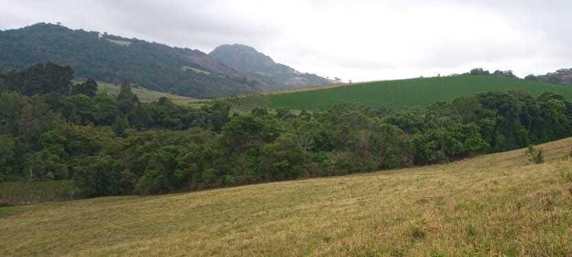 Fazenda, Centro, 0 Quarto, 0 Vaga