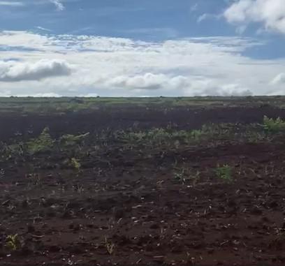 Fazenda, Zona Rural, 0 Quarto, 0 Vaga