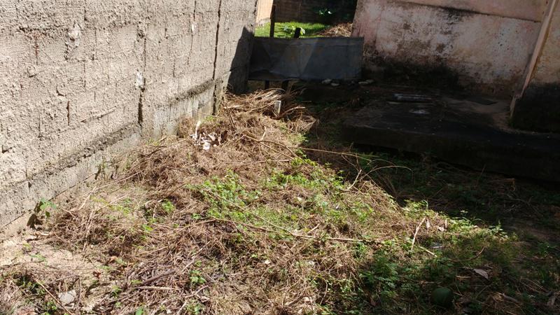 Lote, Alvorada, 0 Quarto, 0 Vaga