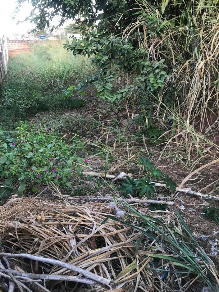 Lote, Santa Cruz, 0 Quarto, 0 Vaga
