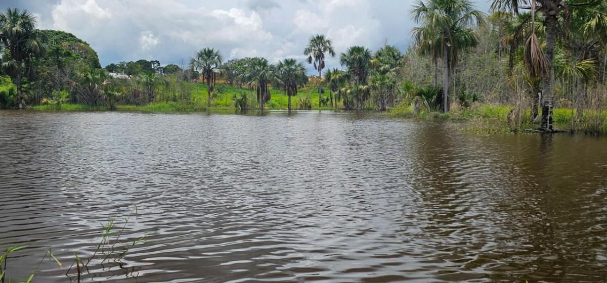 Fazenda, Centro, 0 Quarto, 0 Vaga