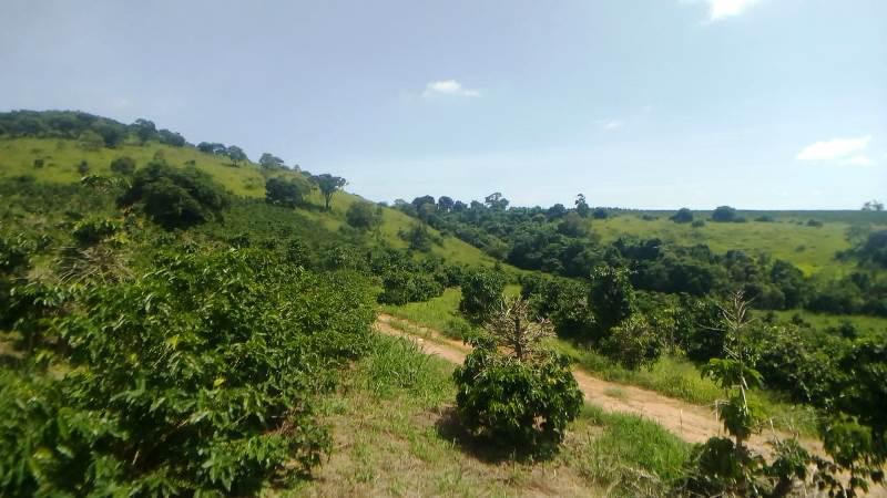 Fazenda, Zona Rural, 0 Quarto, 0 Vaga