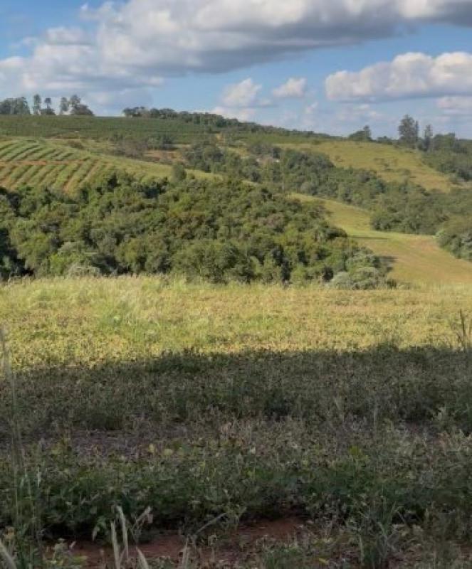 Fazenda, Zona Rural, 0 Quarto, 0 Vaga