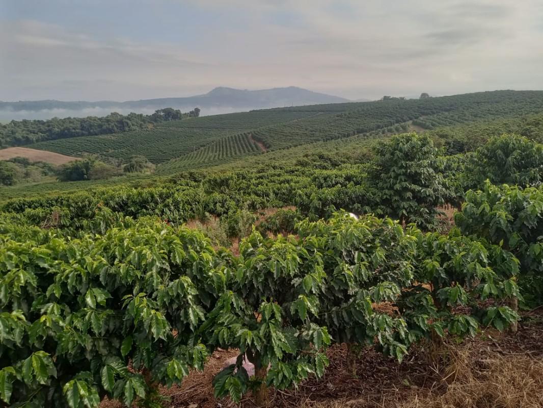 Fazenda, Zona Rural, 0 Quarto, 0 Vaga