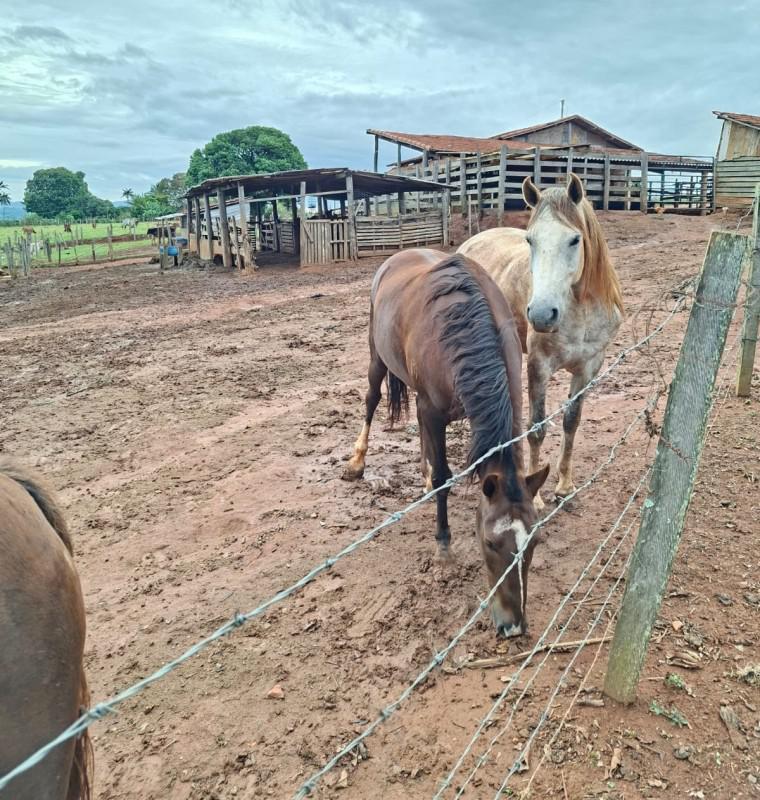 Fazenda, Zona Rural, 0 Quarto, 0 Vaga