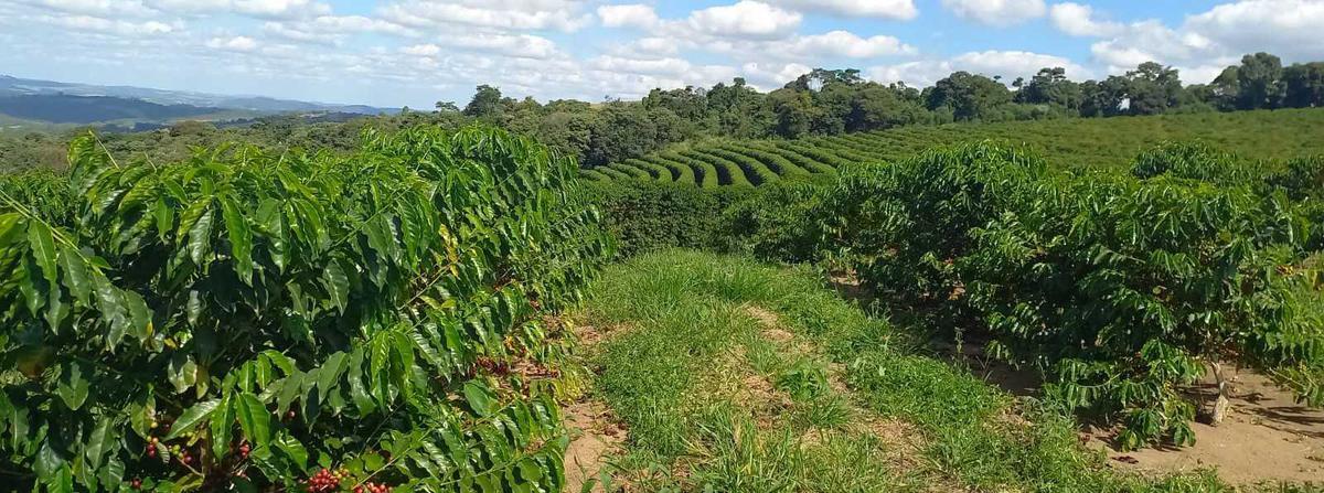 Fazenda, Zona Rural, 4 Quartos, 0 Vaga