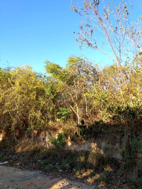 Lote, Ravena, 0 Quarto, 0 Vaga