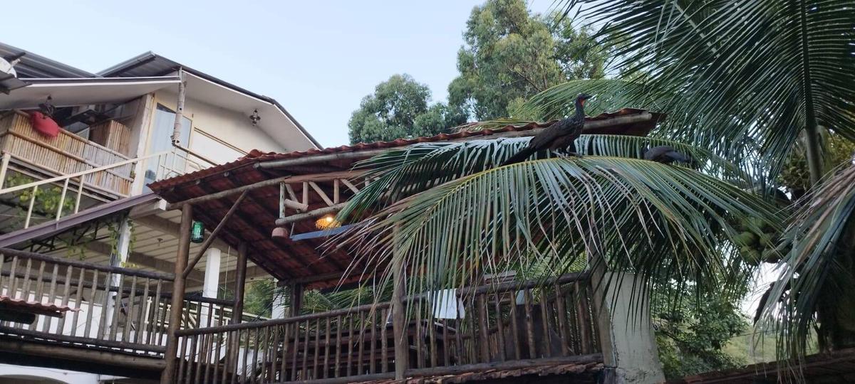 Casa, Belvedere, 3 Quartos, 2 Vagas, 2 Suítes