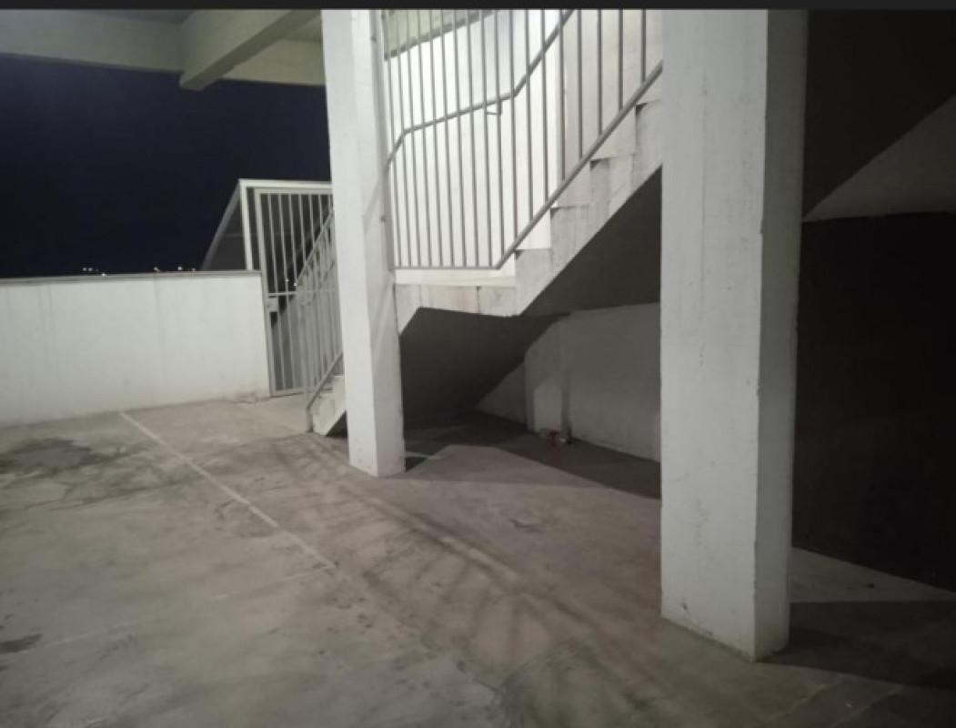 Apartamento, Palmeiras, 2 Quartos, 1 Vaga
