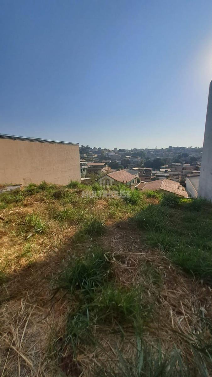 Lote, São João Batista (venda Nova), 0 Quarto, 0 Vaga