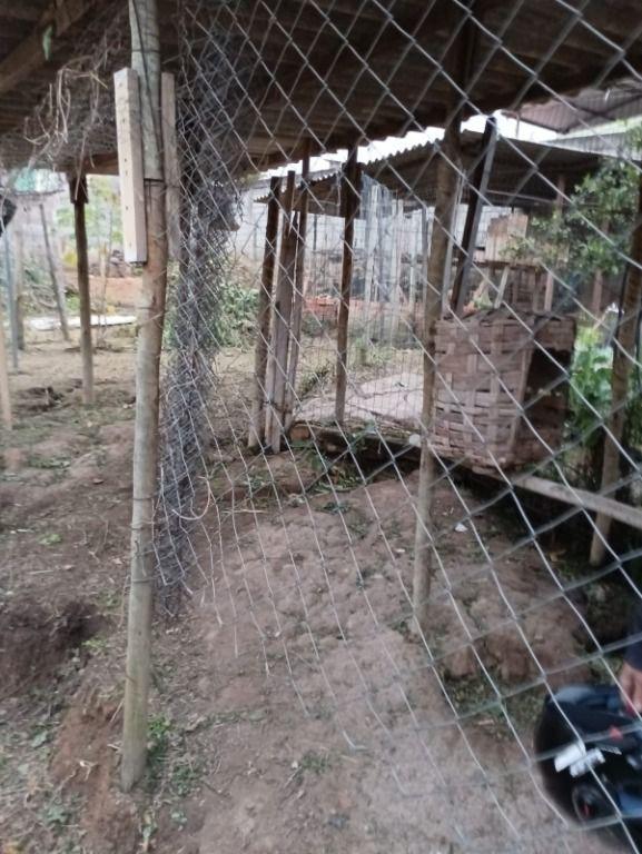 Lote, Pedra Branca, 0 Quarto, 0 Vaga