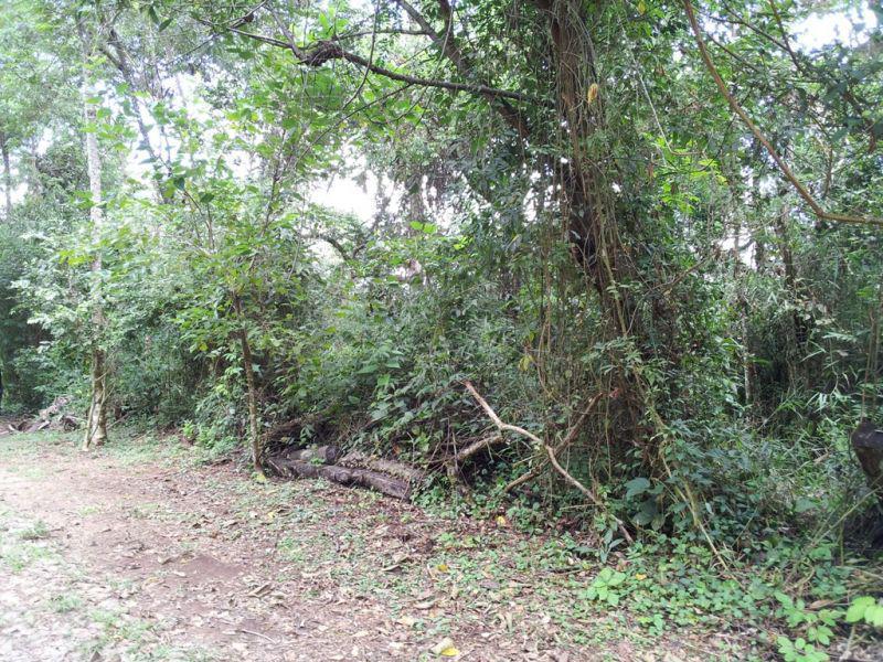 Lote, Green Park, 0 Quarto, 0 Vaga