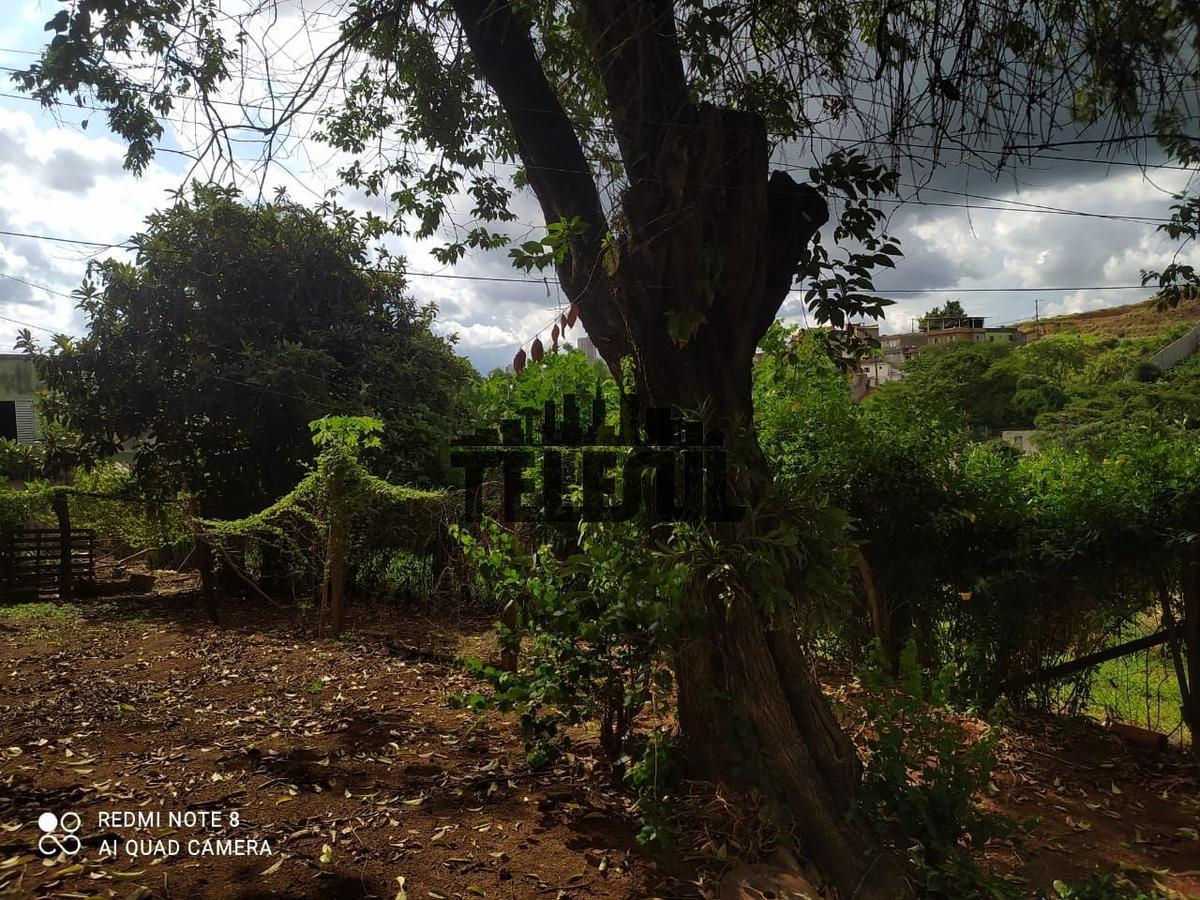 Lote, Conjunto Habitacional Sion, 0 Quarto, 0 Vaga