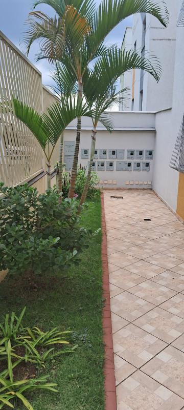Apartamento, Riacho das Pedras, 3 Quartos, 1 Vaga