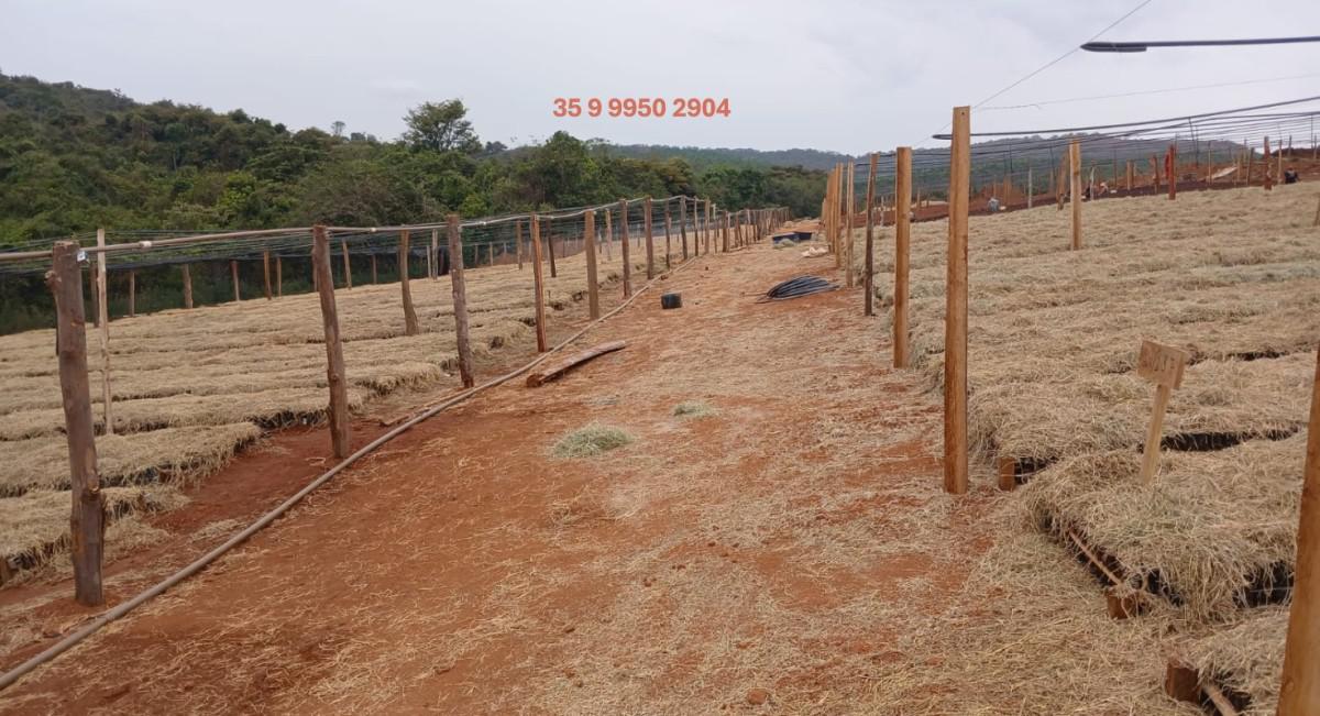 Fazenda, Zona Rural, 0 Quarto, 0 Vaga