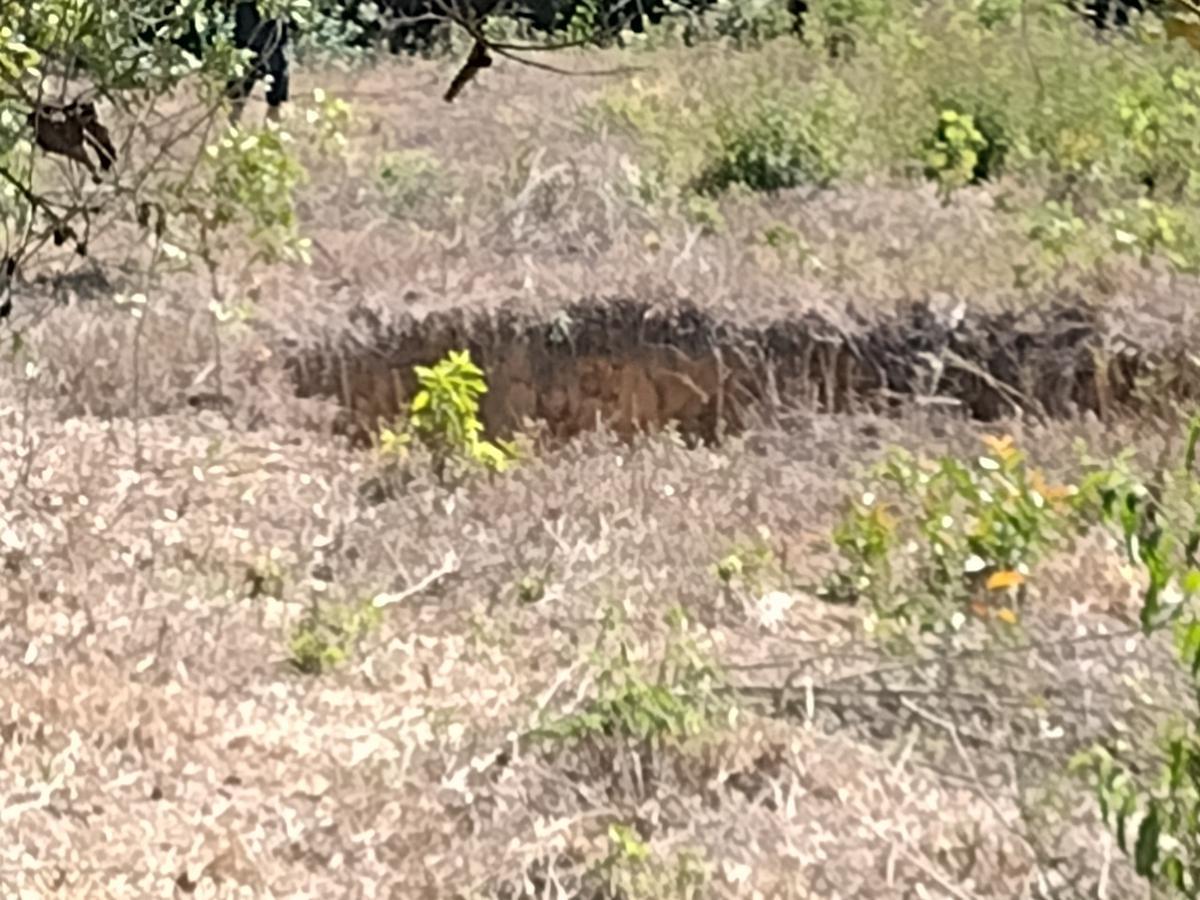 Lote, Zona Rural, 0 Quarto, 0 Vaga