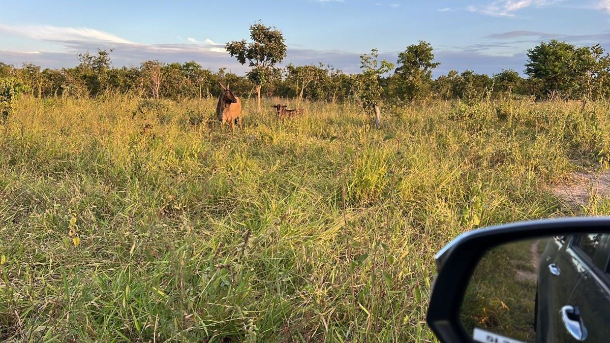 Fazenda, Zona Rural, 0 Quarto, 0 Vaga