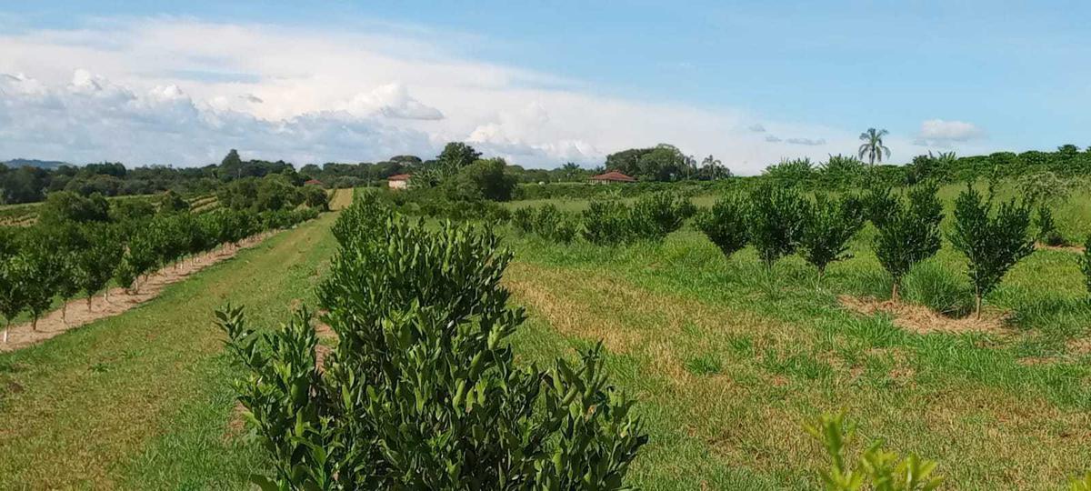 Fazenda, Zona Rural, 3 Quartos, 0 Vaga