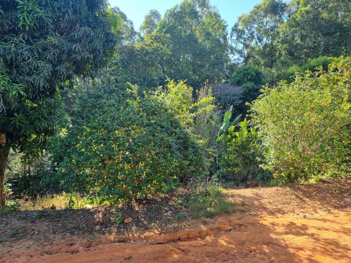 Fazenda, Zona Rural, 0 Quarto, 0 Vaga