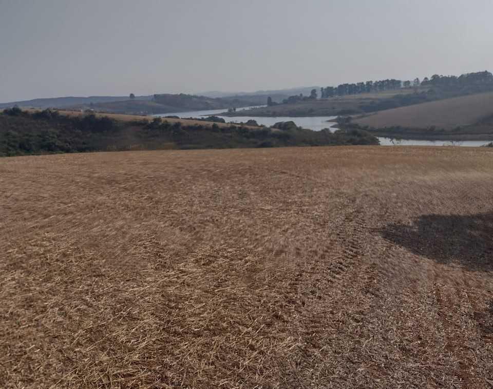 Fazenda, Zona Rural, 1 Quarto, 0 Vaga