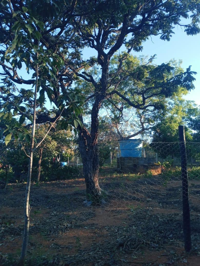 Lote, Zona Rural, 0 Quarto, 0 Vaga