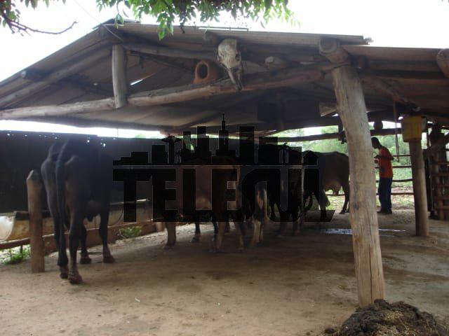 Fazenda, Zona Rural, 3 Quartos, 2 Vagas, 1 Suíte