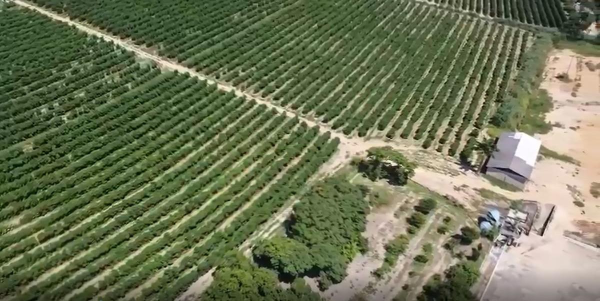 Fazenda, Zona Rural, 0 Quarto, 0 Vaga
