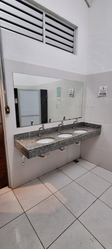 Andar, Floresta, 0 Quarto, 6 Vagas