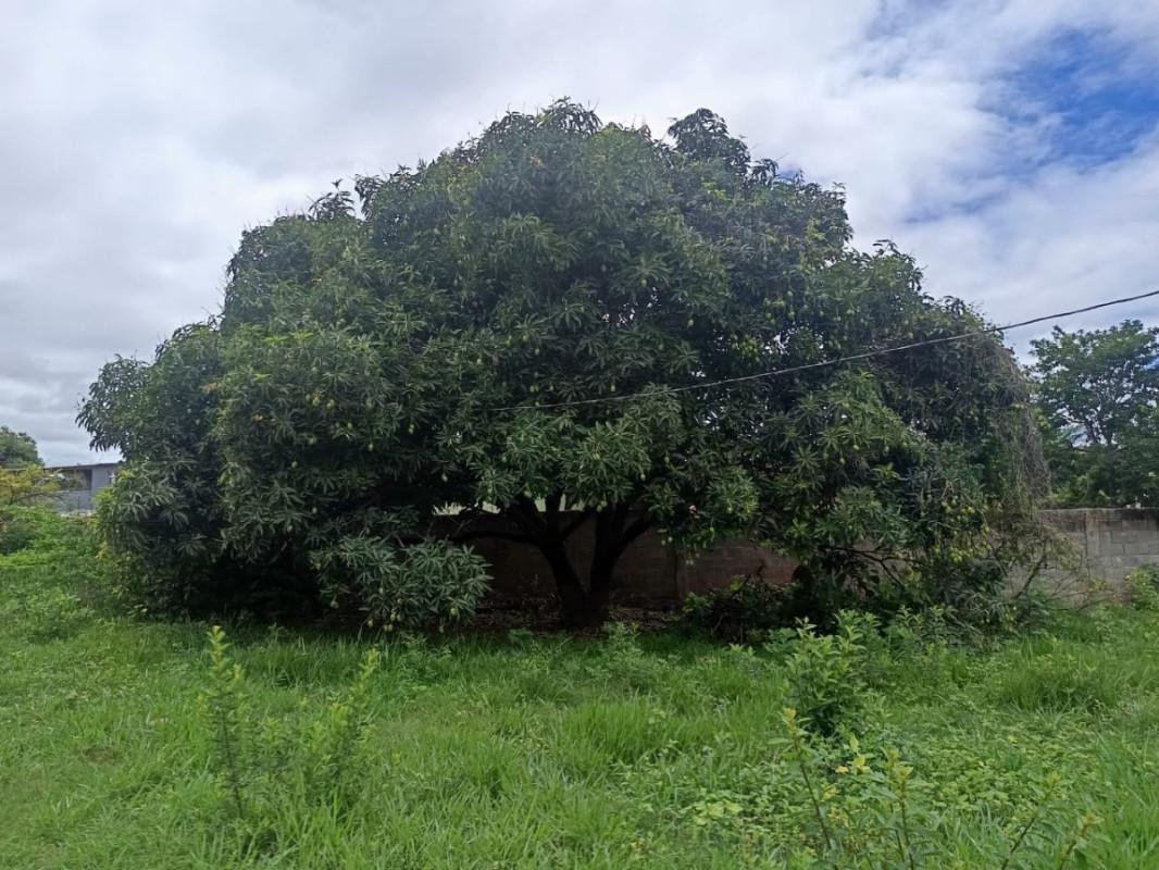 Lote, Boa Esperança, 0 Quarto, 0 Vaga