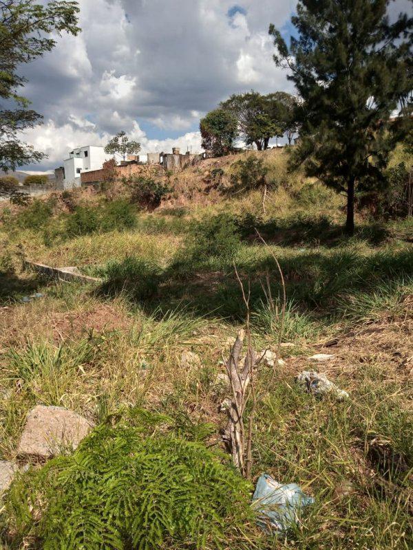 Lote, Centro, 0 Quarto, 0 Vaga
