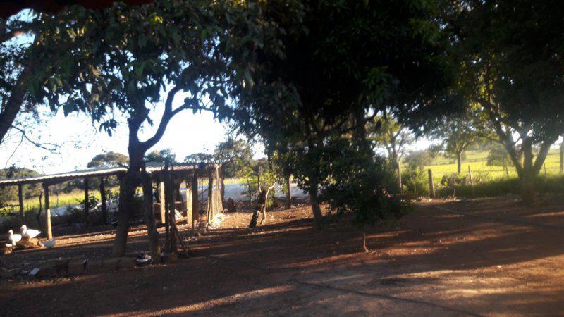 Fazenda, Centro, 0 Quarto, 0 Vaga