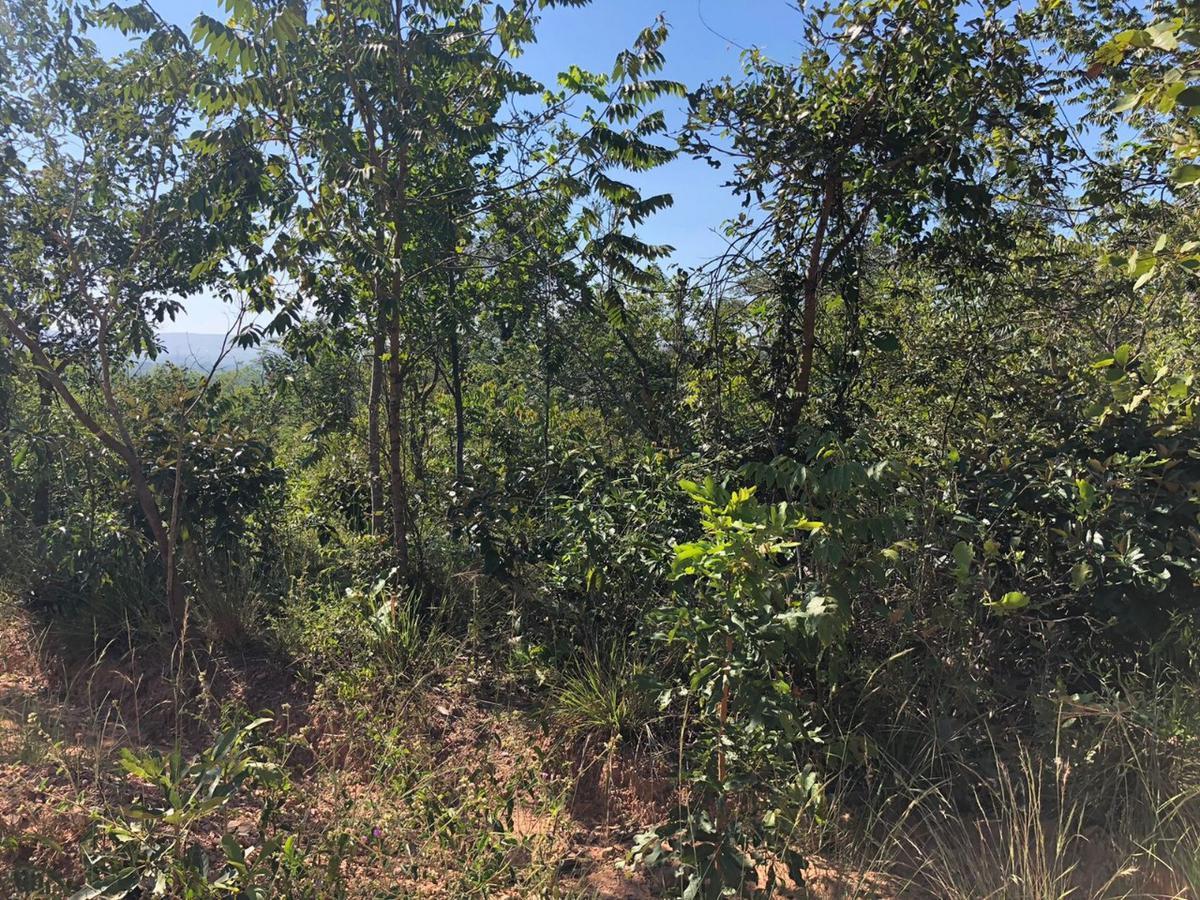 Lote, Zona Rural, 0 Quarto, 0 Vaga