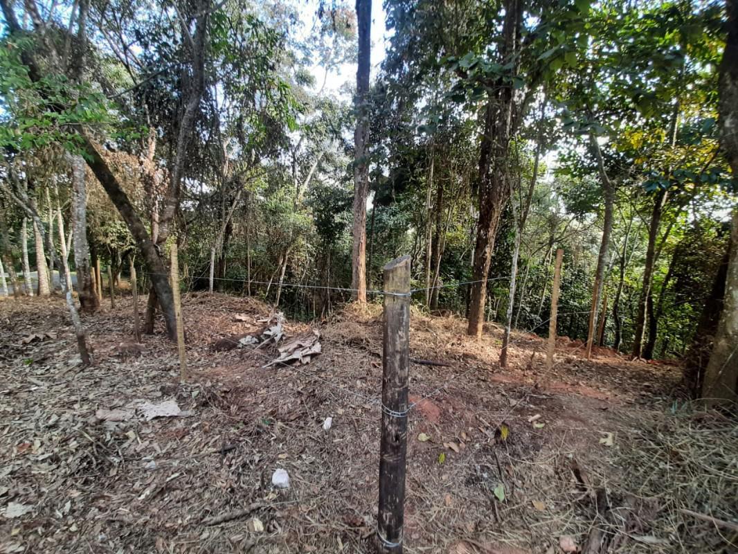 Lote, Green Park, 0 Quarto, 0 Vaga