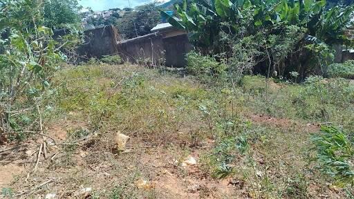 Lote, Esperança, 0 Quarto, 0 Vaga