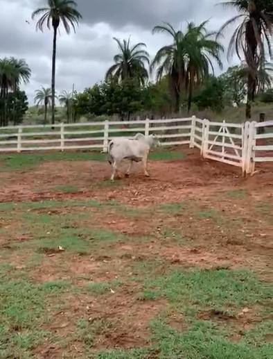 Fazenda, Zona Rural, 4 Quartos, 0 Vaga