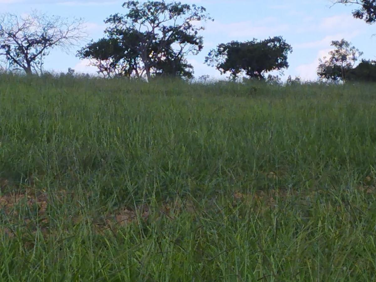 Fazenda, Zona Rural, 3 Quartos, 0 Vaga