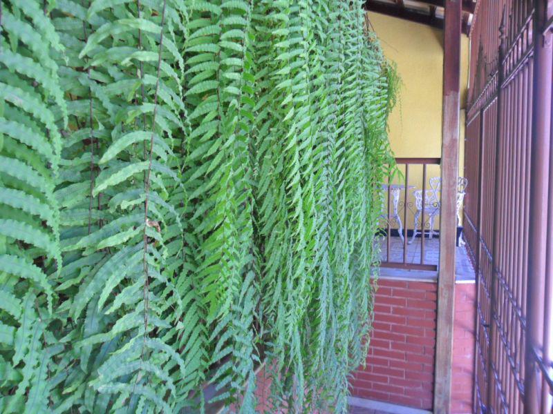 Casa, Conjunto Minascaixa, 5 Quartos, 6 Vagas, 1 Suíte