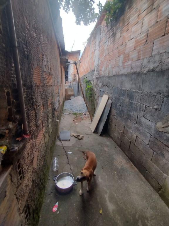 Casa, Mangabeiras, 2 Quartos, 4 Vagas